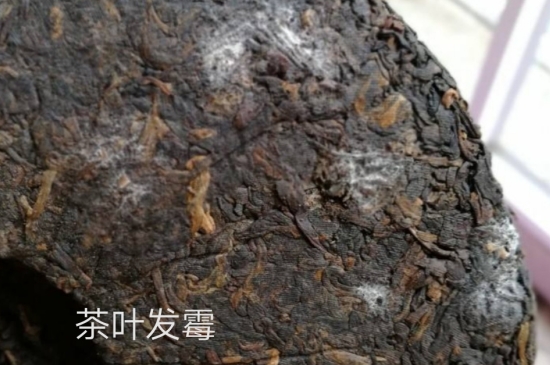 西湖龍井茶毫和發(fā)霉區(qū)別圖片，長霉的龍井茶葉會是什么樣？